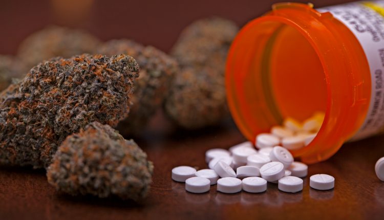 Insurance Company Must Cover Cost of MMJ, Judge Rules  13